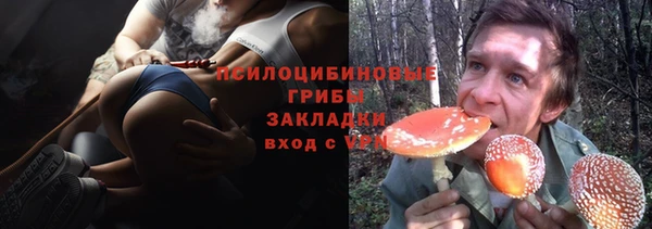 Альфа ПВП Арсеньев