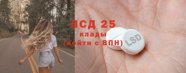 ГАЛЛЮЦИНОГЕННЫЕ ГРИБЫ Аркадак