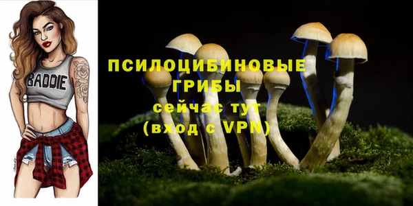 ГАЛЛЮЦИНОГЕННЫЕ ГРИБЫ Аркадак