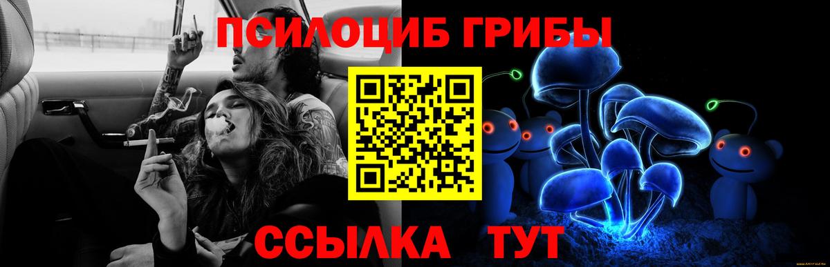 Асбест  Псилоцибиновые грибы мухоморы  Вход с VPN 